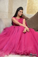 Anchor Syamala at Speedunnodu Movie Platinum Disc Function